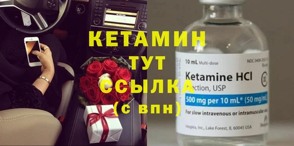 стаф Аркадак