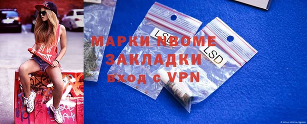 стаф Аркадак