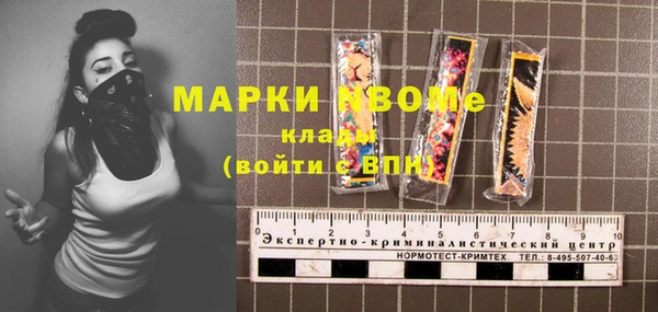 стаф Аркадак