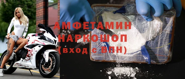 стаф Аркадак