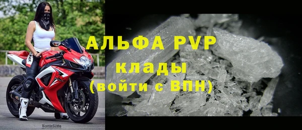 стаф Аркадак