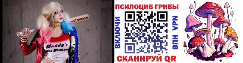 закладки  OMG как войти  Псилоцибиновые грибы Psilocybine cubensis  Краснообск 